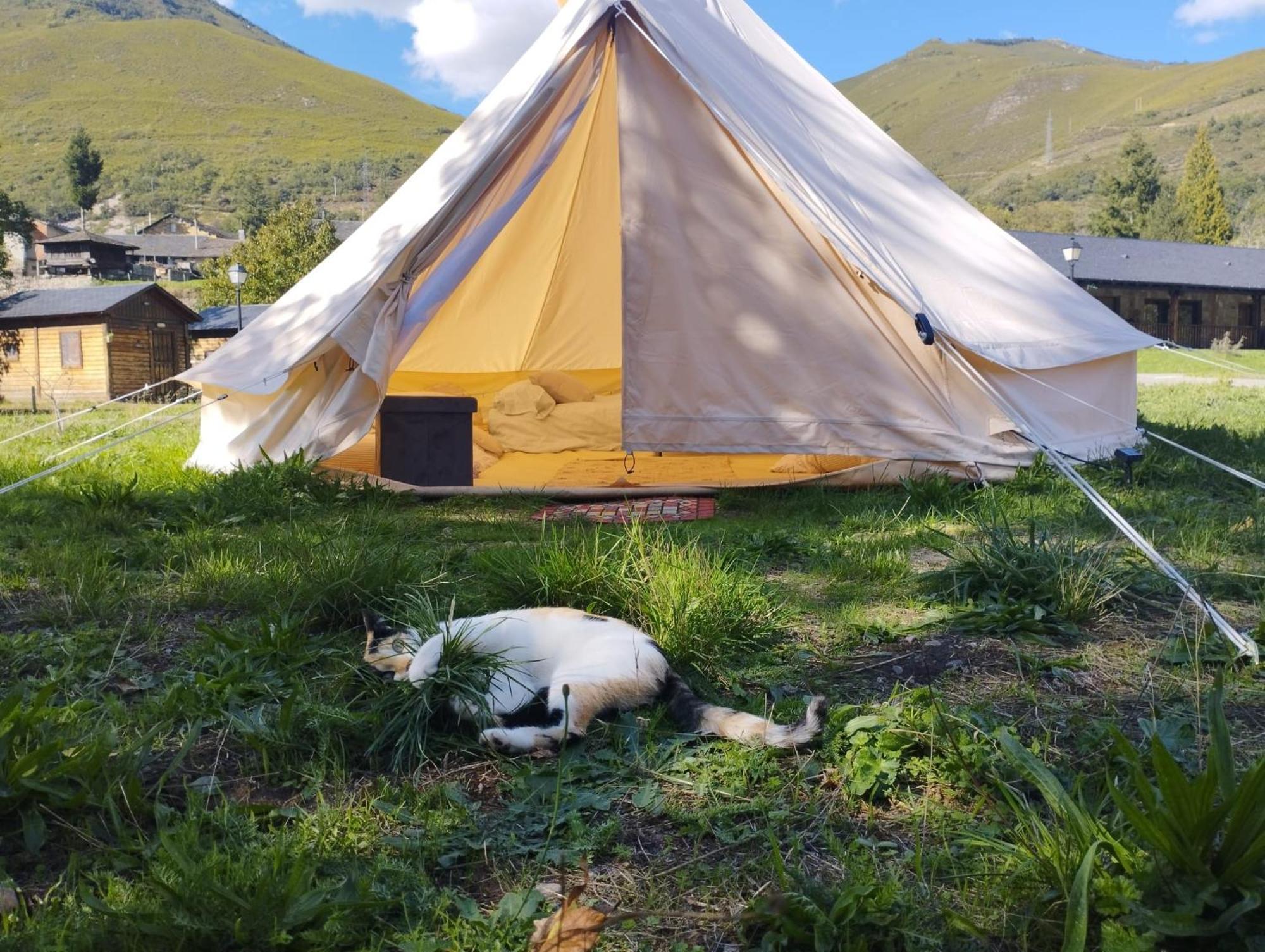 Camping La Zarapica - Palacios Del Sil 외부 사진